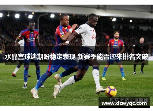 水晶宫球迷期盼稳定表现 新赛季能否迎来排名突破